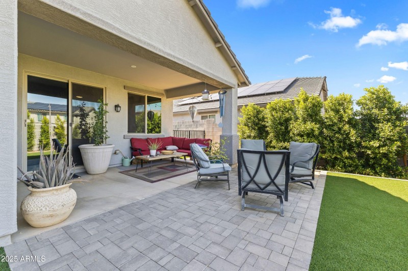 Backyard-3
