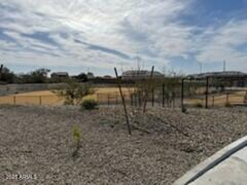 Picture1 dog park