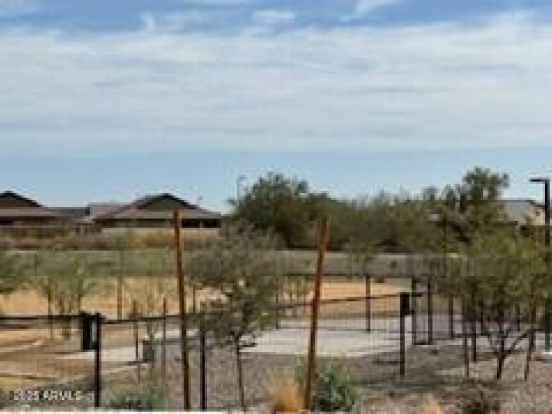 Picture6 dog park