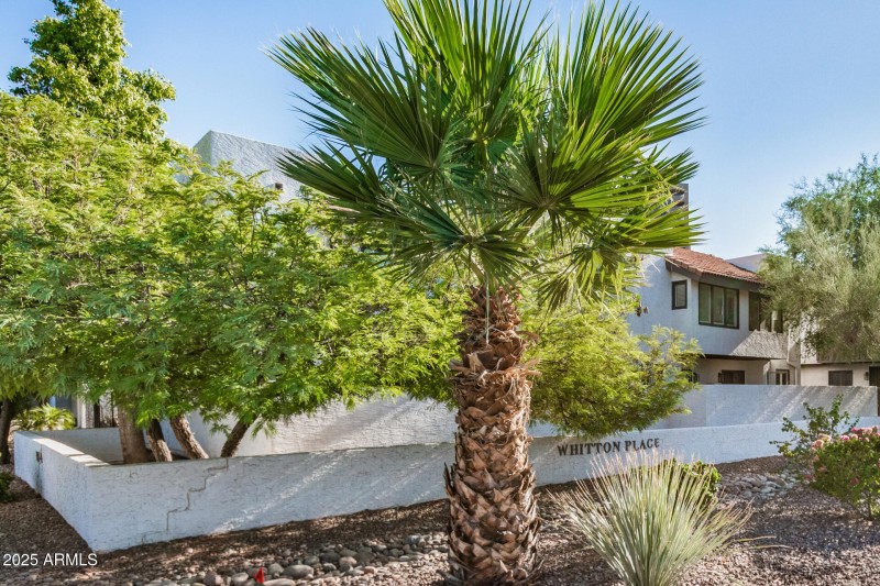 3434 N 11th Street 5