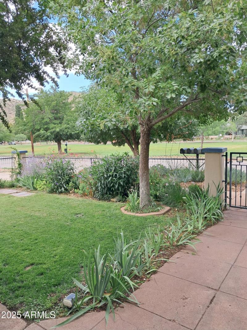 Looking at Vista Park from front porch 1