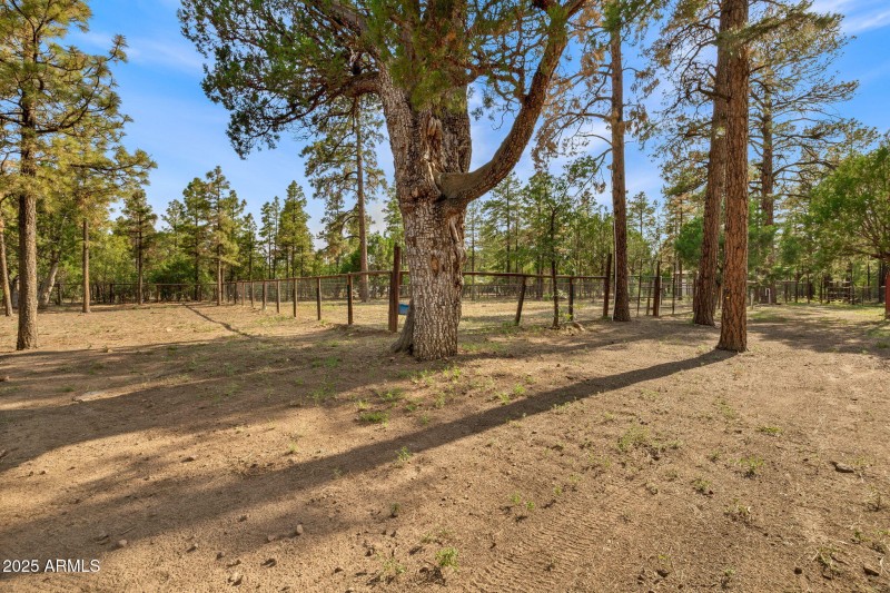 2710HooksWay-Heber-AZ-27