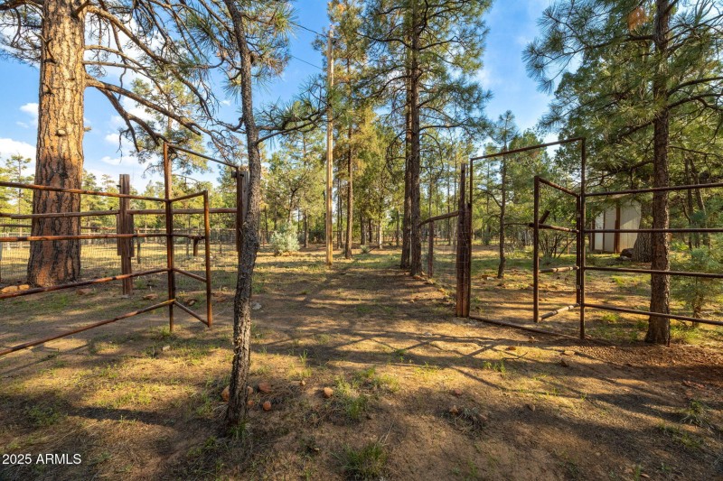 2710HooksWay-Heber-AZ-Extras-5