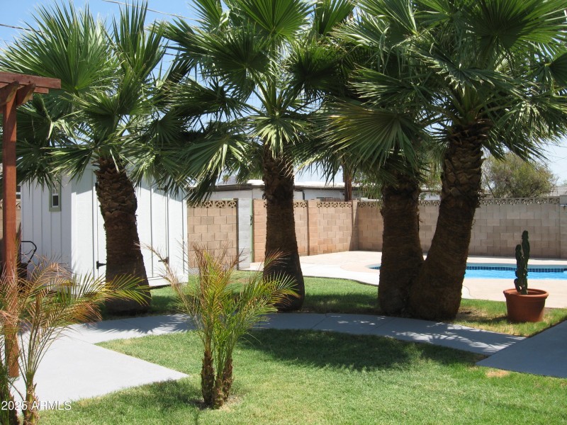 BACK YARD