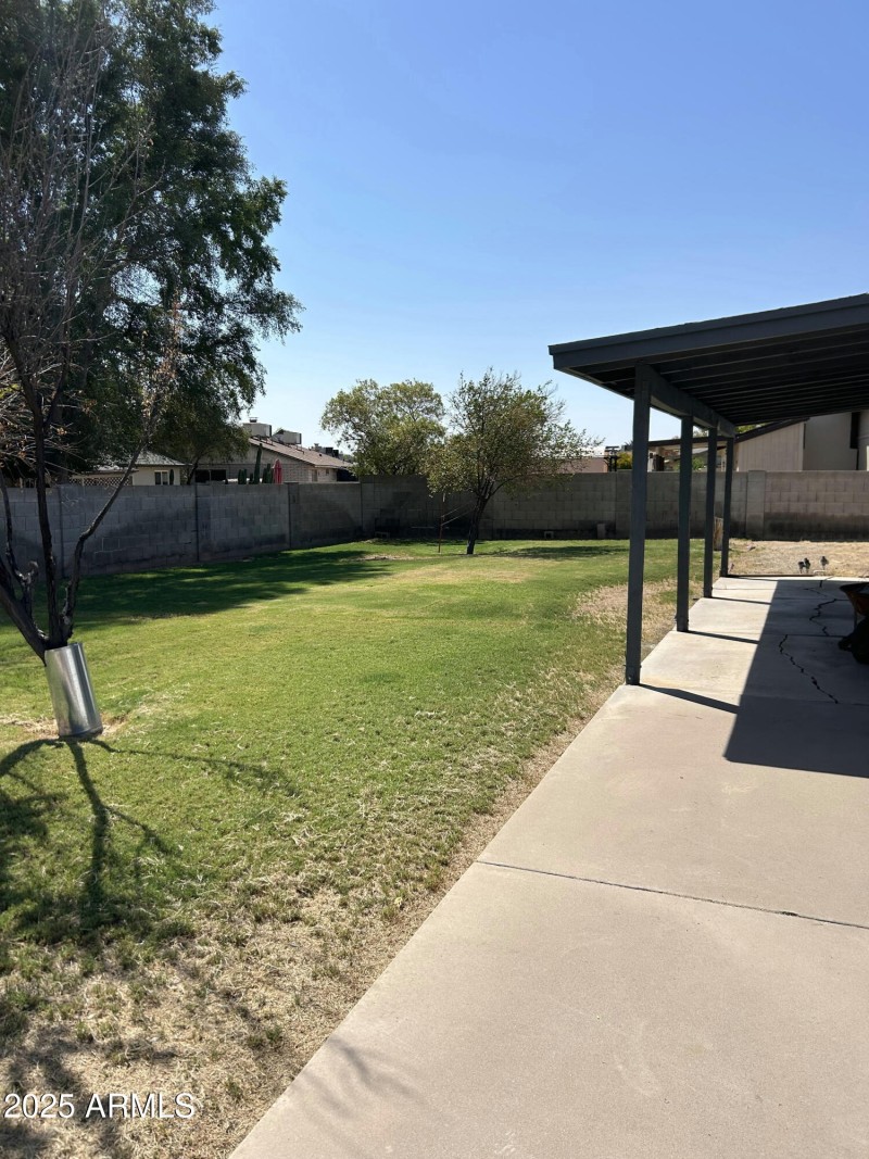15602 backyard_1
