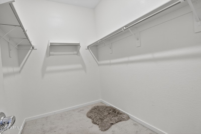 Primary Closet