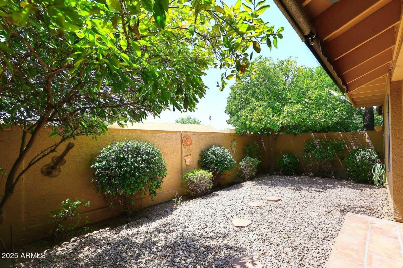 Backyard