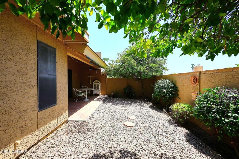 Backyard2