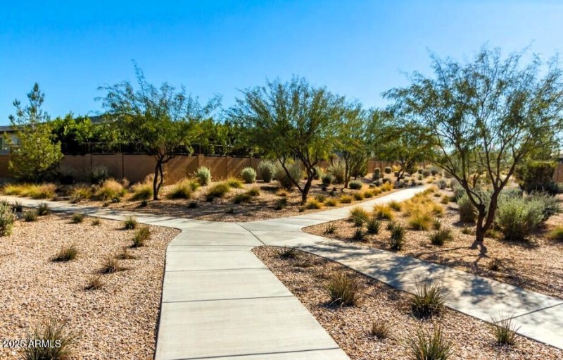 Walking Trails