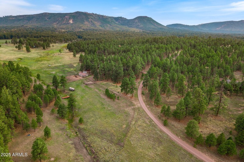 36CoRdN2147-Alpine-AZ-44