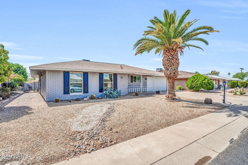 Clean Easy Care Yard