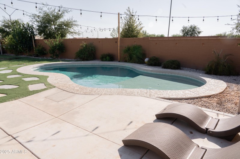 Backyard 4