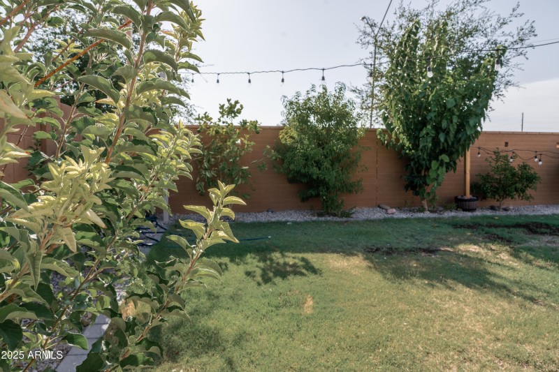 Side of Backyard