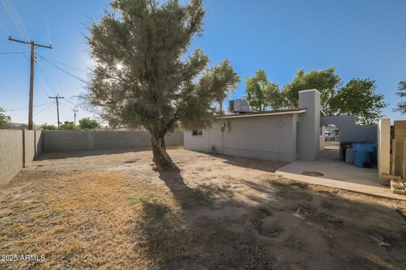 238351-photo-632c99eeb4d0a