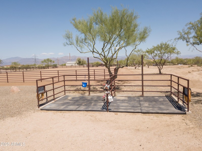 horse wash