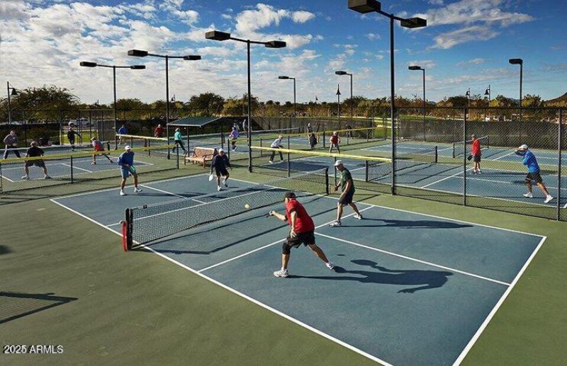 Pickle Ball