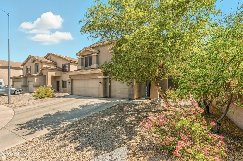 71-print-Hazelwood-1 (2)