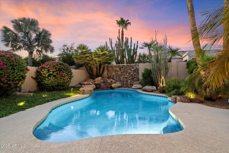 Incredible Backyard Oasis