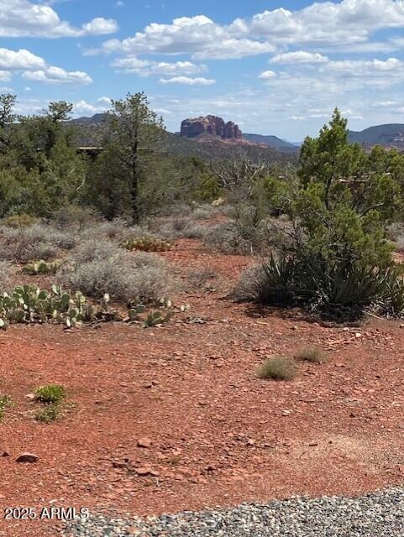 Cath Rock