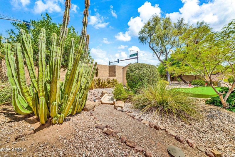 29023 N 46th Way-44