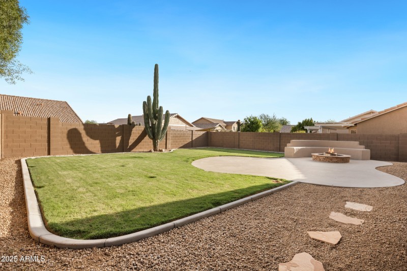 Large Saguaro