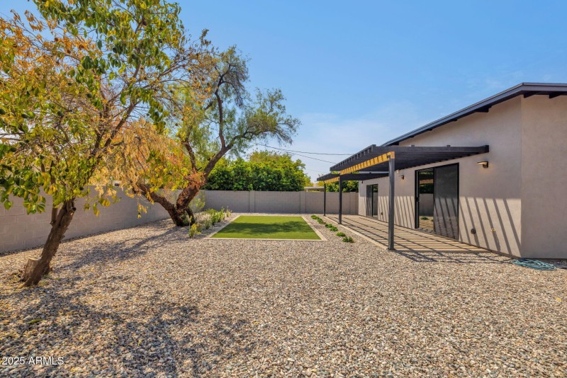 Backyard