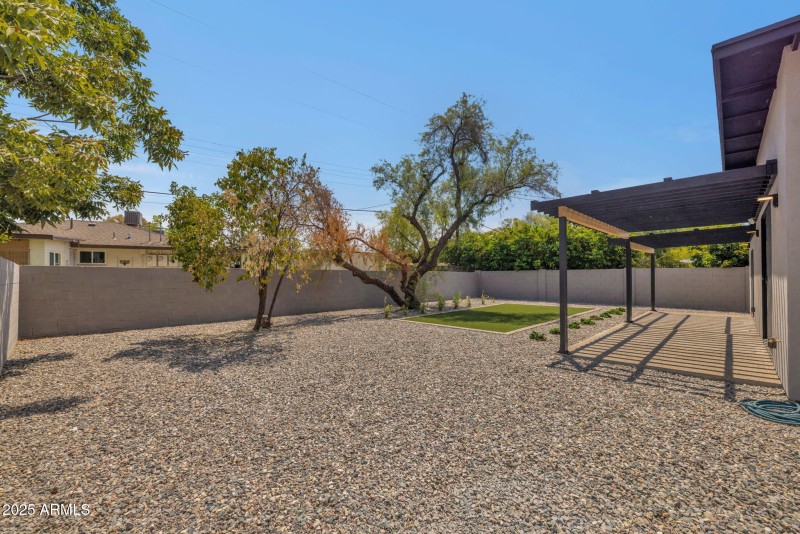 Backyard