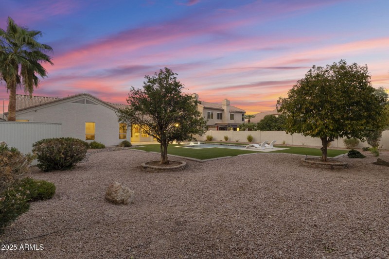 Backyard