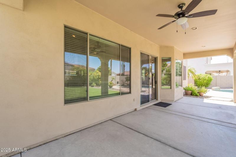 80-web-or-mls-Wildflower-80