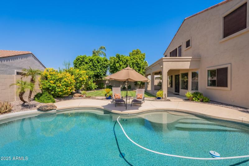 86-web-or-mls-Wildflower-86