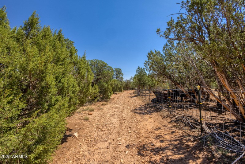 Access Road