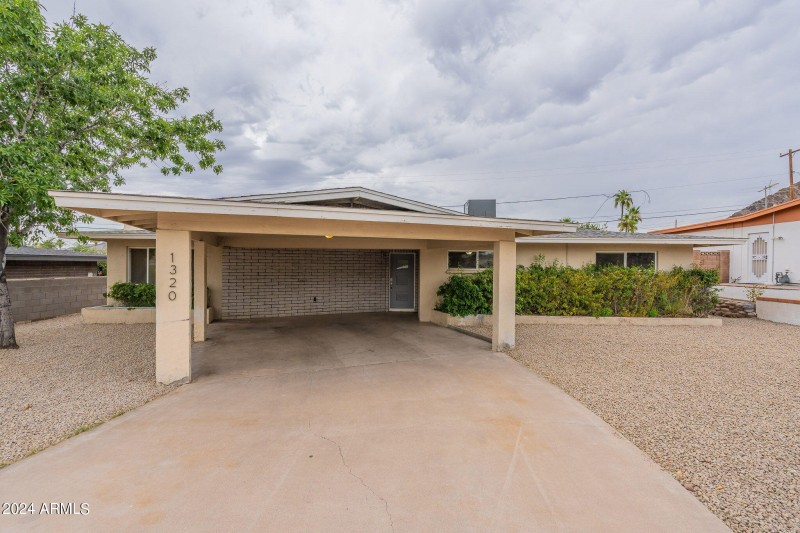 3-web-or-mls-Orchid-3