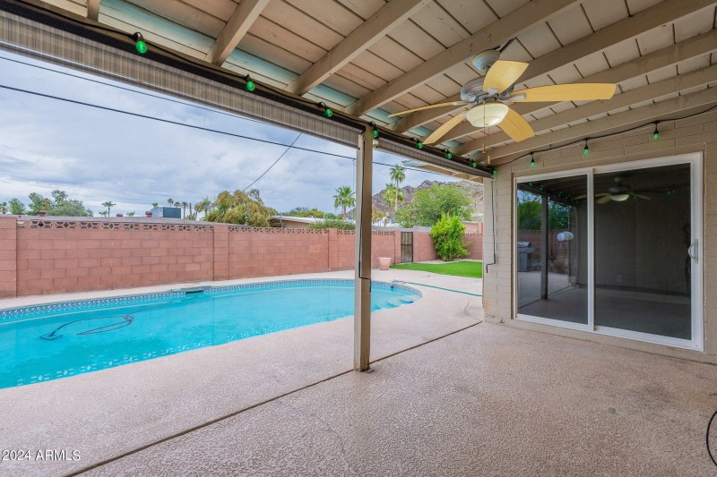 39-web-or-mls-Orchid-39