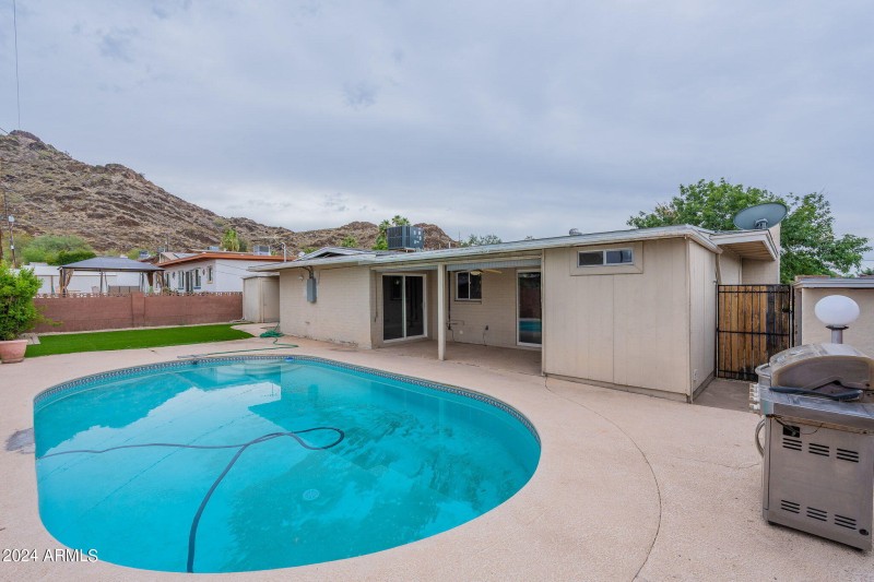 41-web-or-mls-Orchid-41