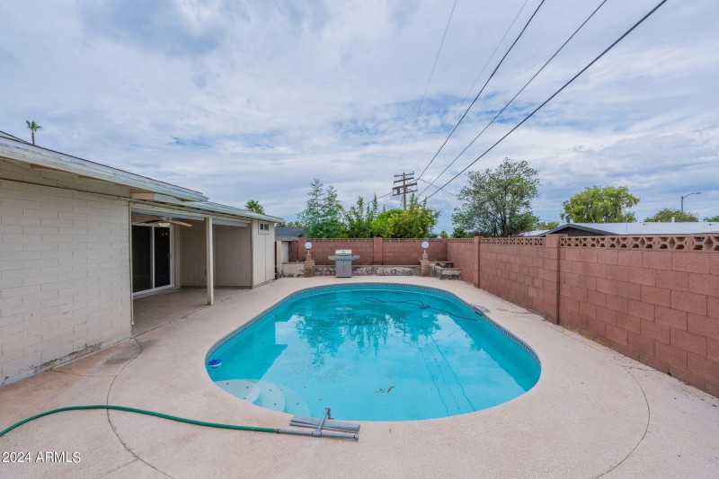 47-web-or-mls-Orchid-47