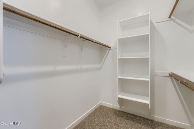 Owners Walk in Closet