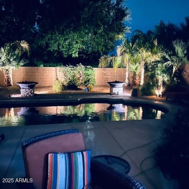 Pool and Backyard at Night