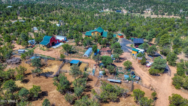 3336 Bear Heights Aerial