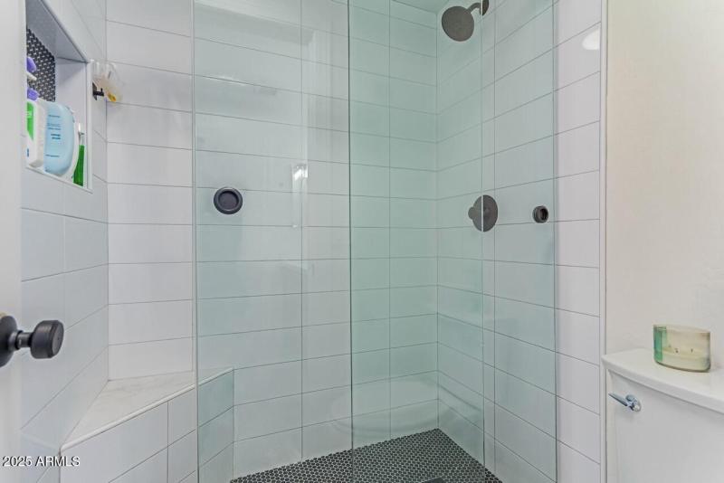 Basement Walk-in Shower
