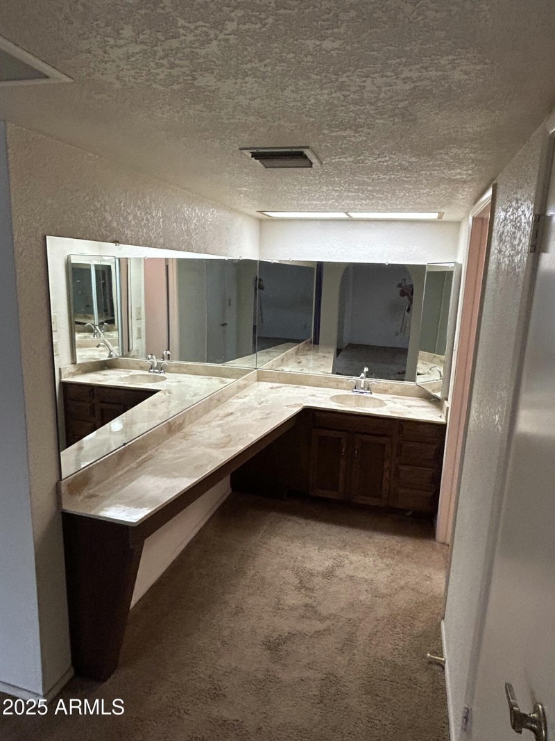 15602_interior master bath vanity