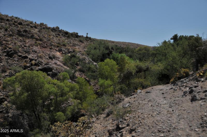 Burns Spring