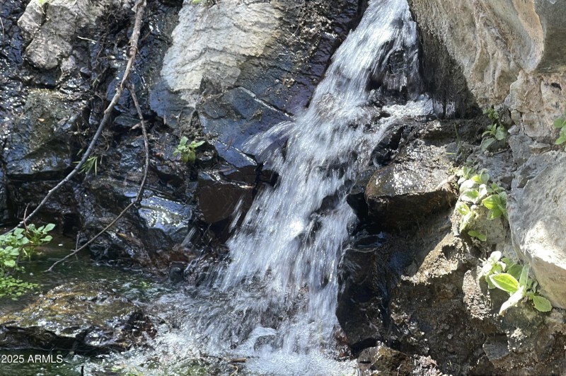 Burns Spring