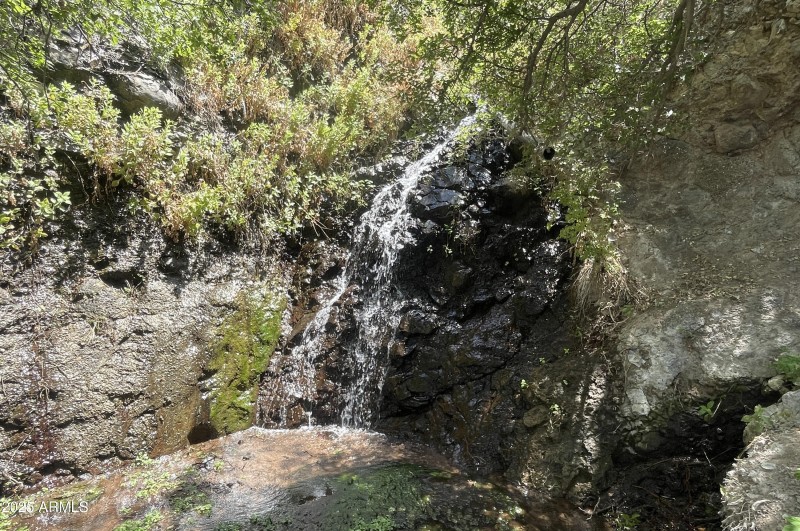 Burns Spring