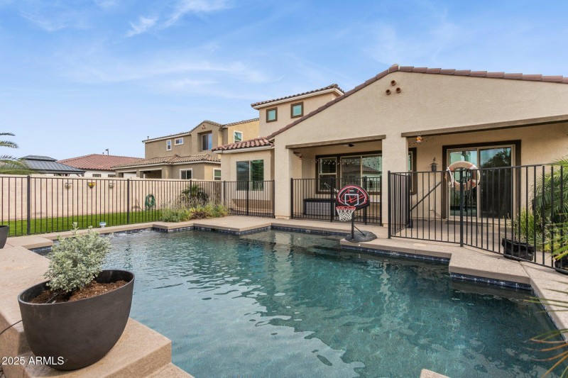 View of backyard