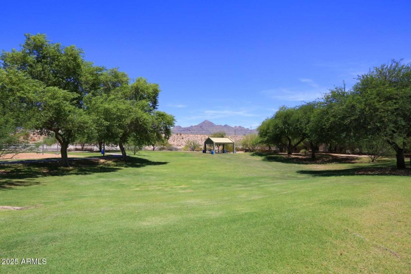 Horizon Park-Grass Area