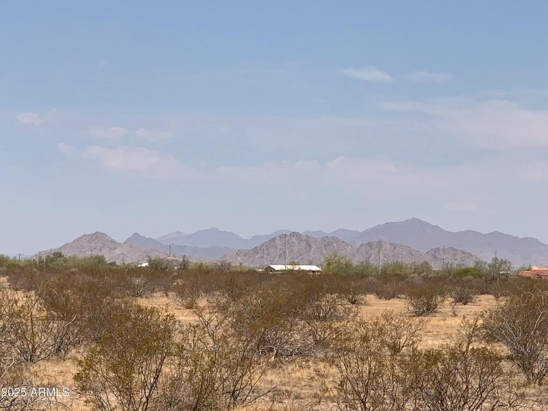 Purple Mountains Majesty!