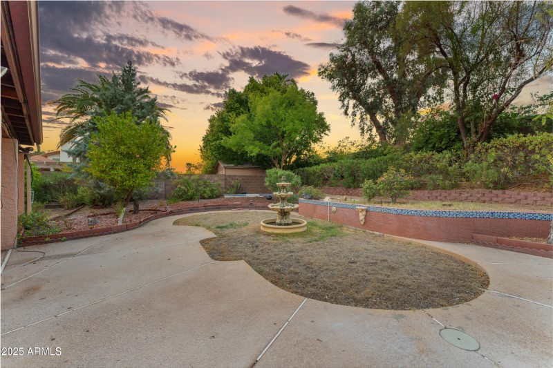 Backyard