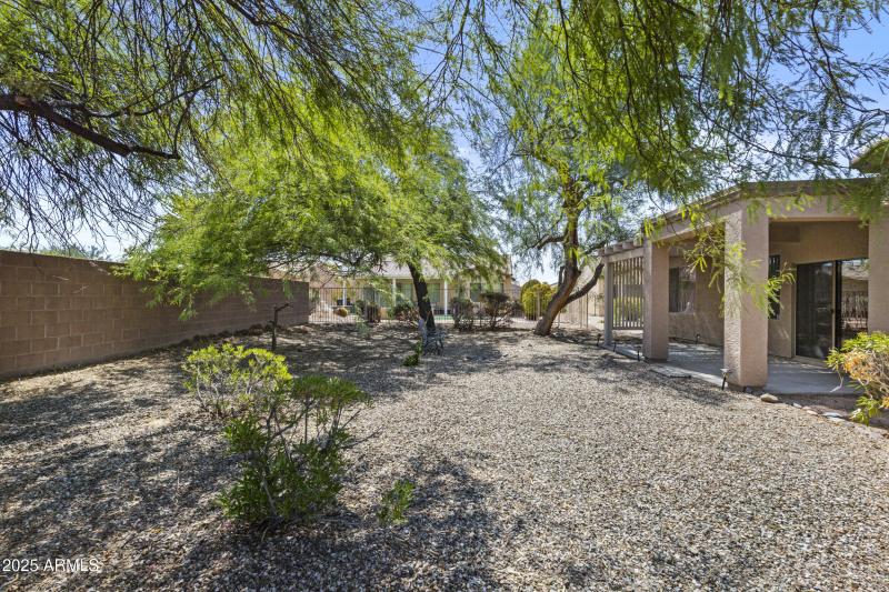 Spacious Backyard