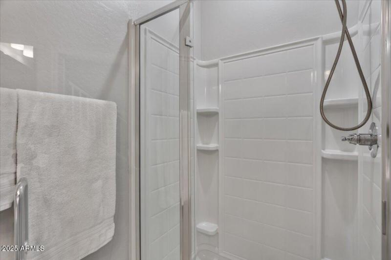 Bathroom shower (downstairs)