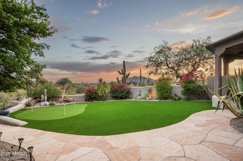 Arizona Desert Oasis